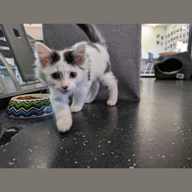 Photo of Frank From National Tiles 