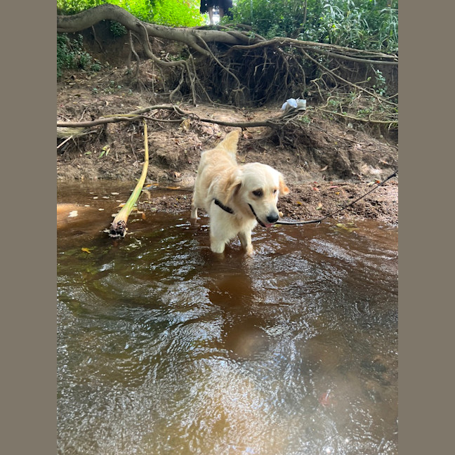 Photo of Willy