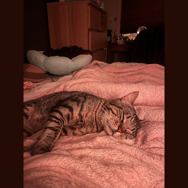 Photo of Moonface
