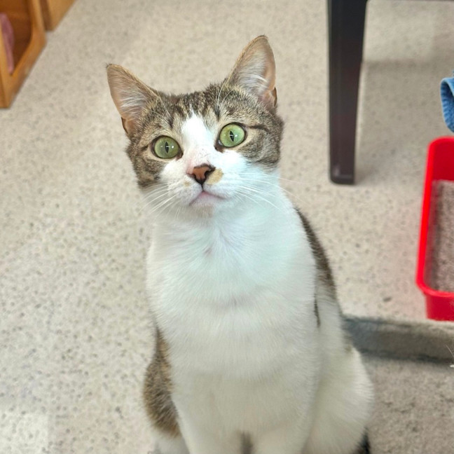 Photo of Sunny & Moon