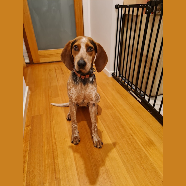 Photo of Harlow 
