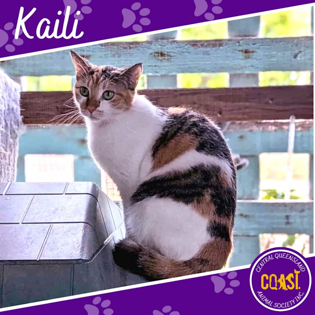 Photo of Kaili
