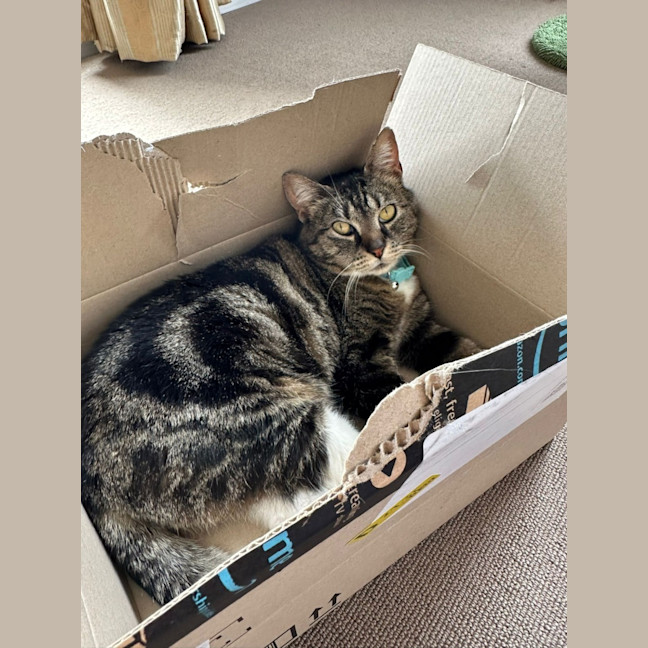 Photo of Boots