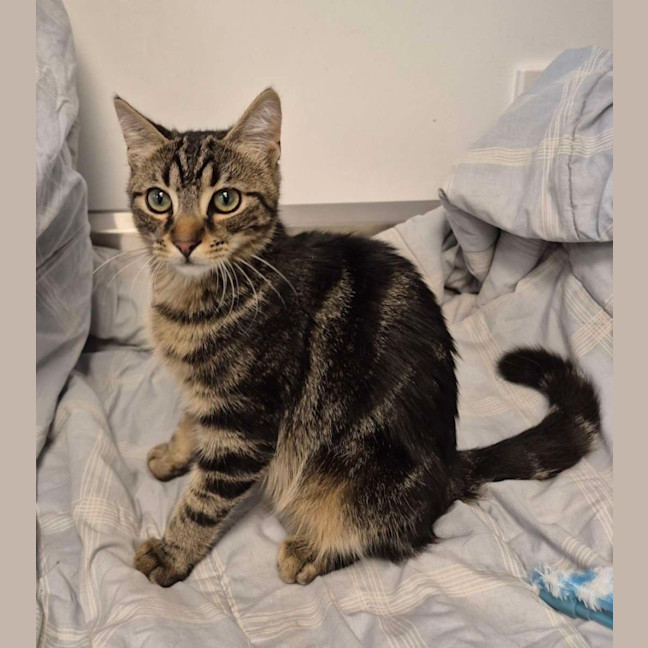 Photo of Catrick Swayze