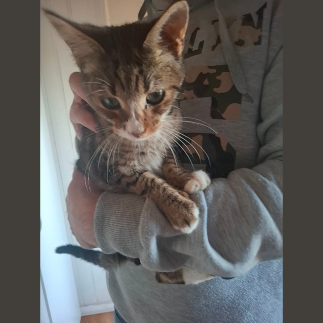 Photo of Buddy