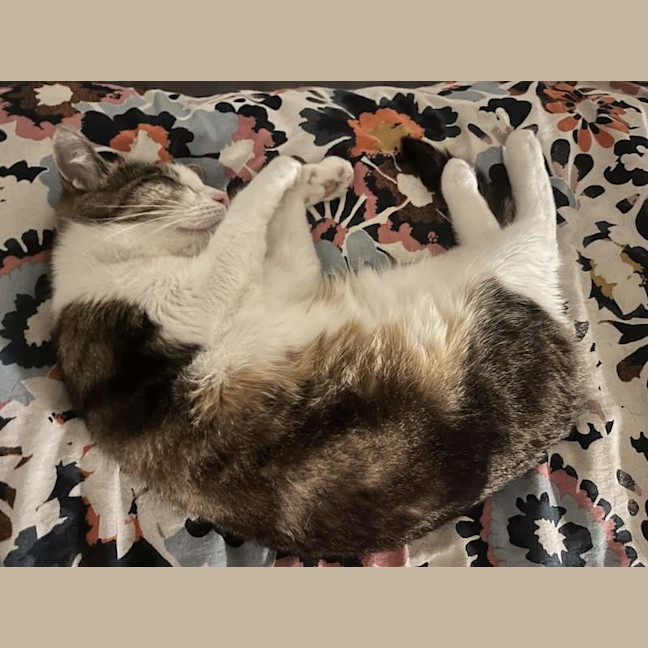 Photo of Esmerelda