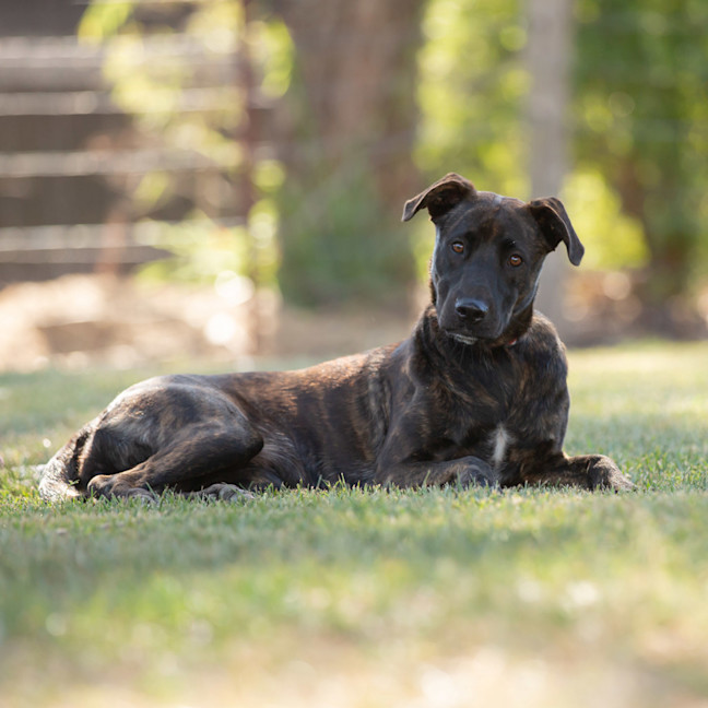Photo of Hazel
