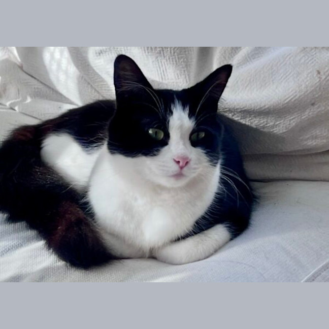 Photo of Suzie