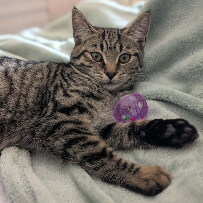 Photo of Lola