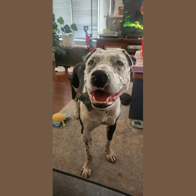 Photo of Rockefeller