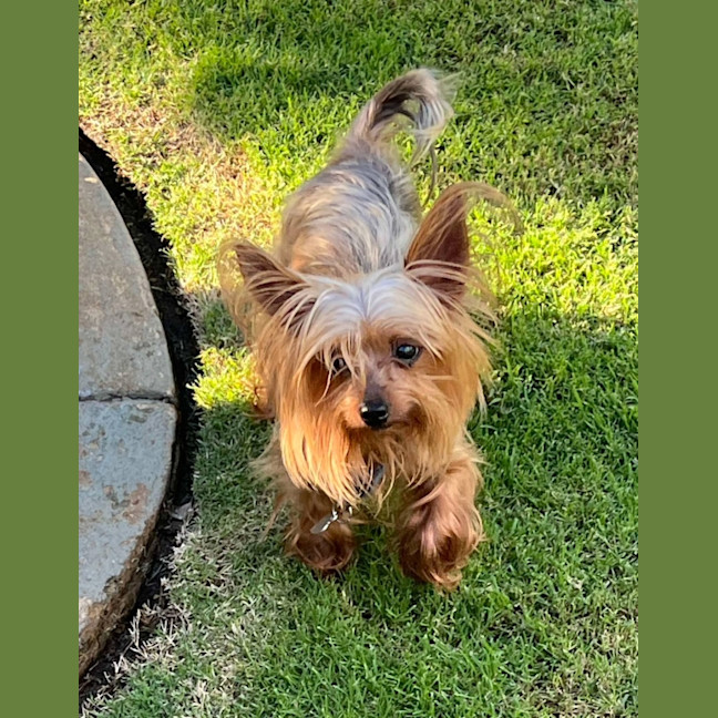 Photo of Tess