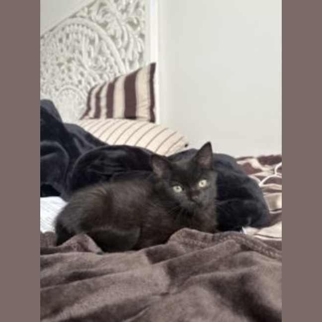 Photo of Tommi