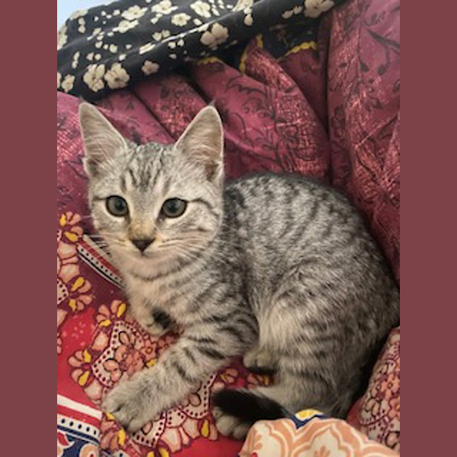 Photo of Timothy 