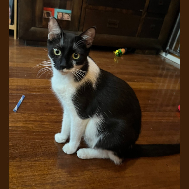 Photo of Mo