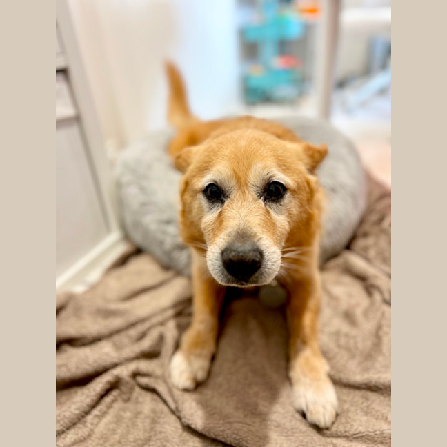 Photo of Max