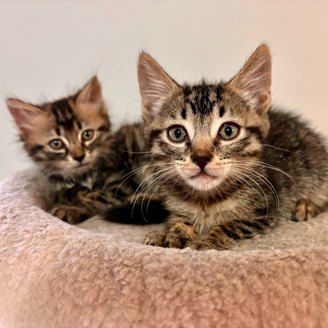 Photo of Zoey Moonlight