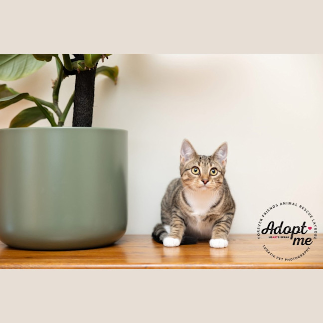 Photo of Eleanor 🌼