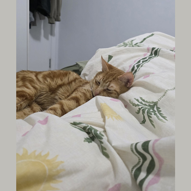 Photo of Alistair
