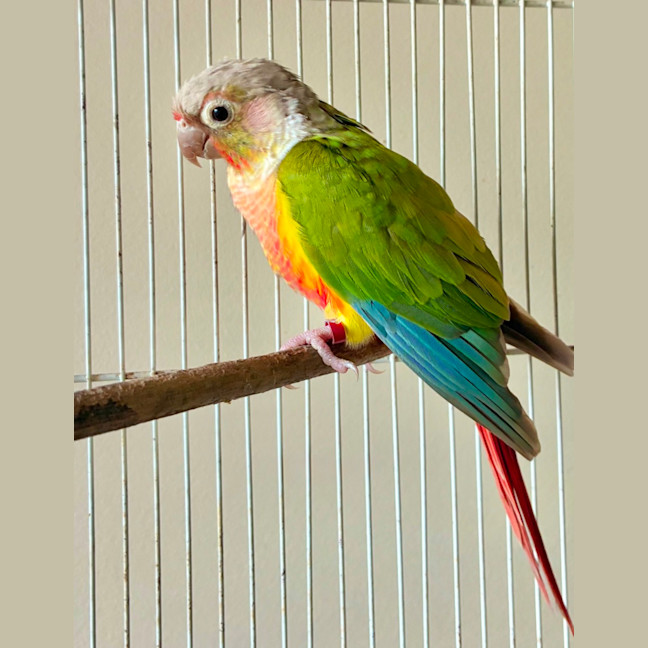 Photo of Marty