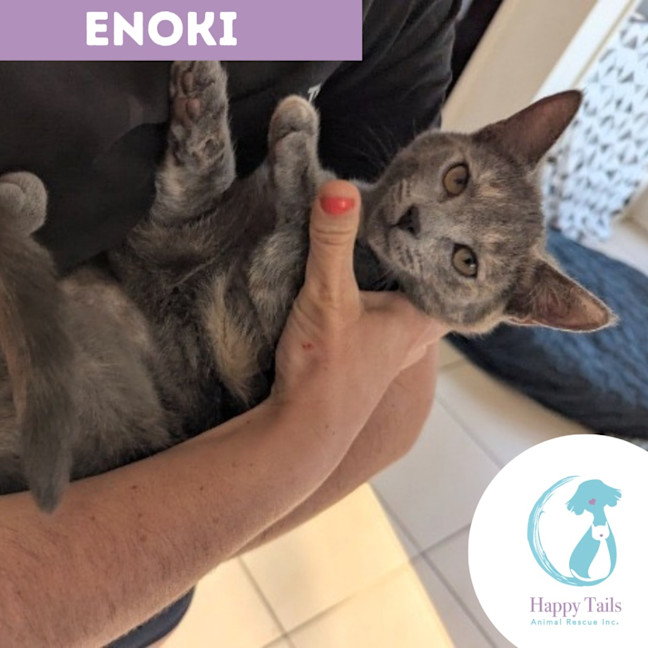 Photo of Enoki