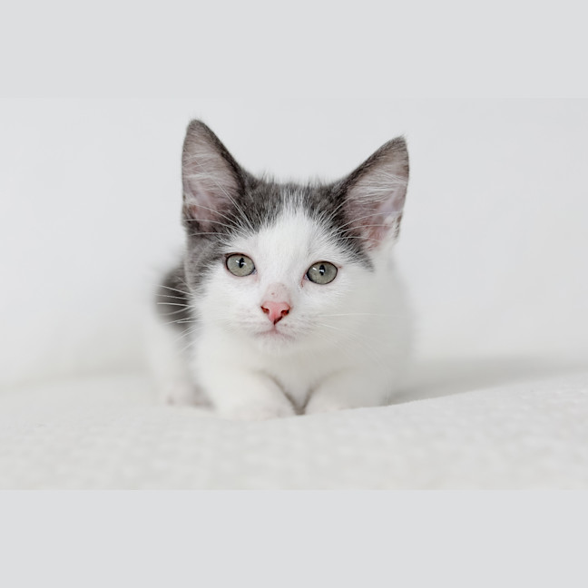 Photo of Lenny