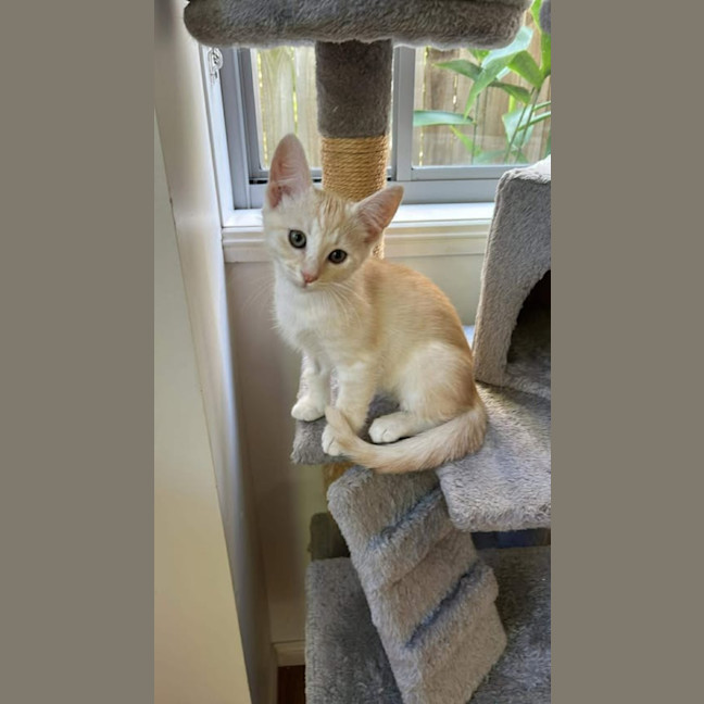 Photo of Fred