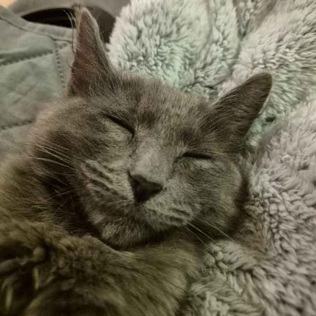 Photo of Nyla