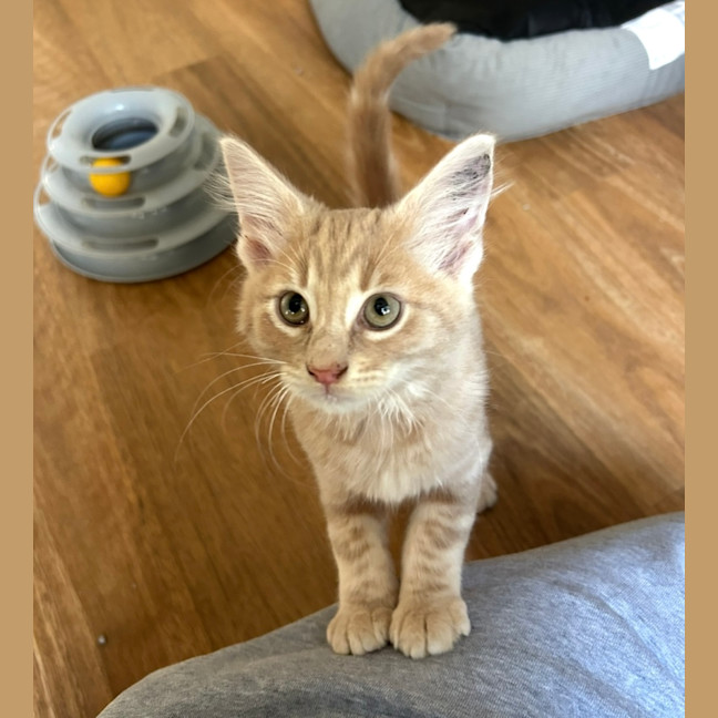 Photo of Passionfruit 