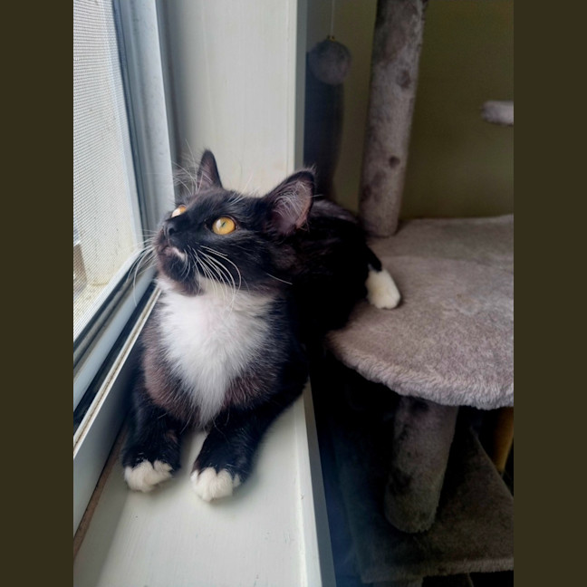 Photo of Ivy
