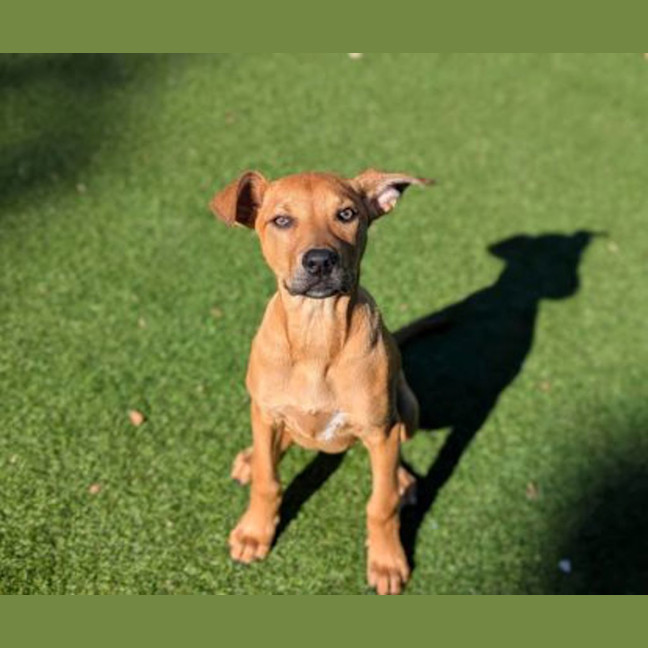 Photo of Winnie