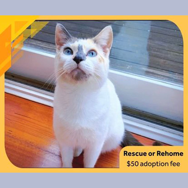 Photo of Tabitha