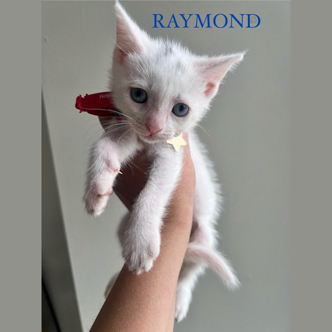 Photo of Raymond