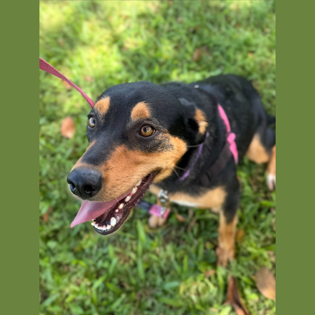 Photo of Kiki