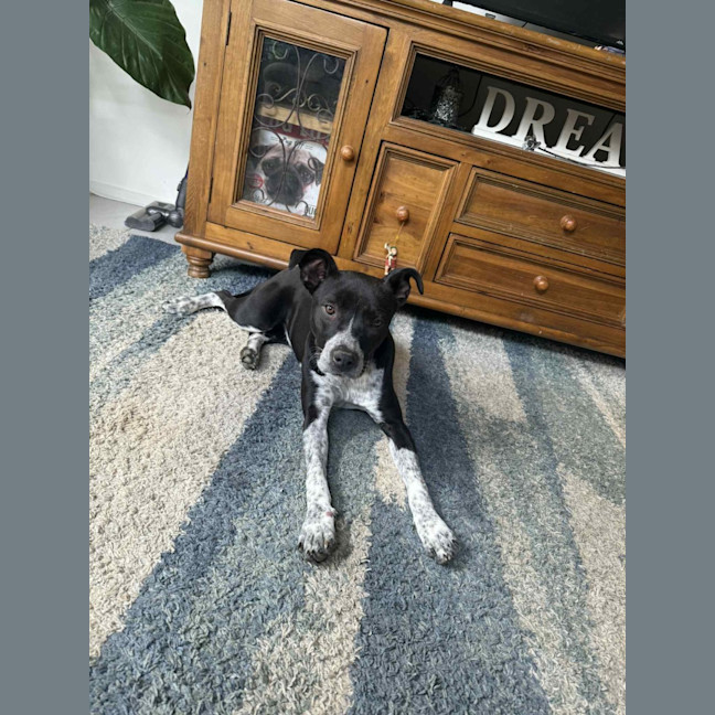 Photo of Maggie