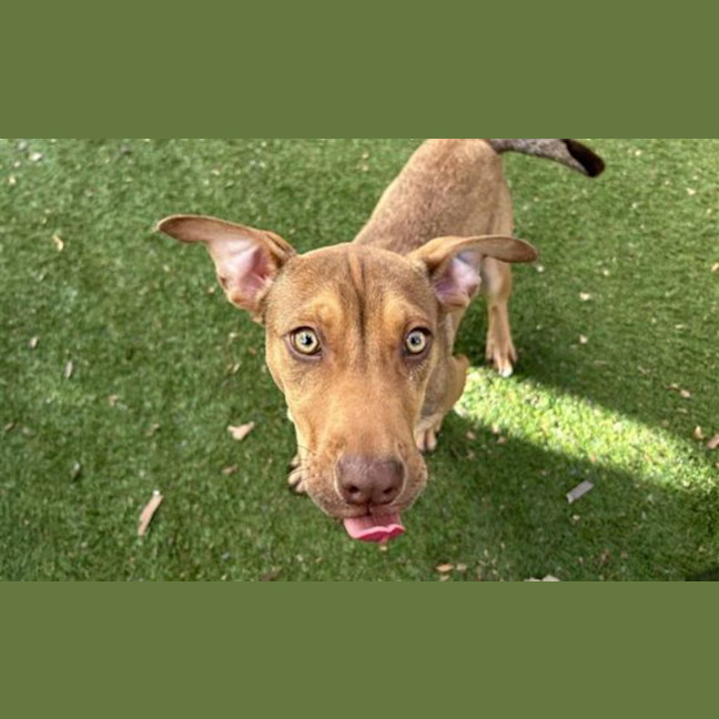 Photo of Lulu