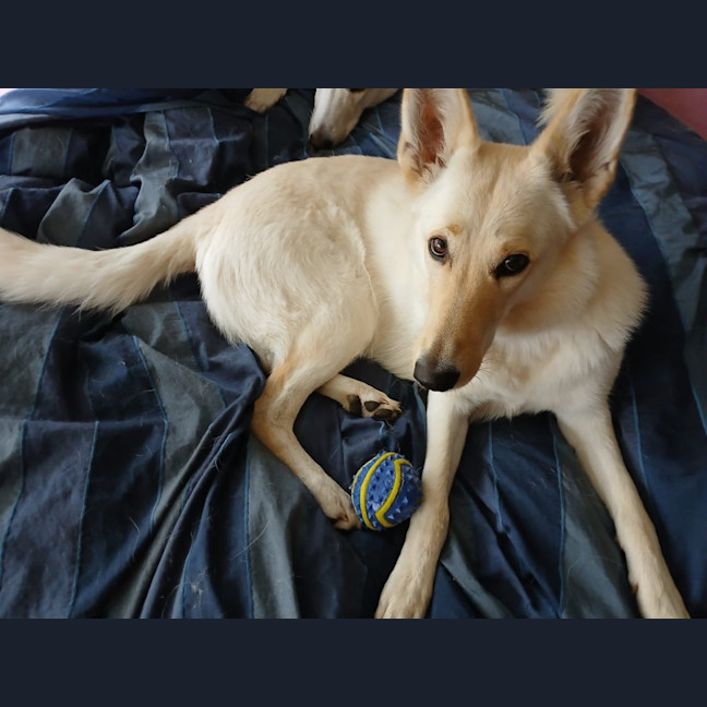 Photo of Princess