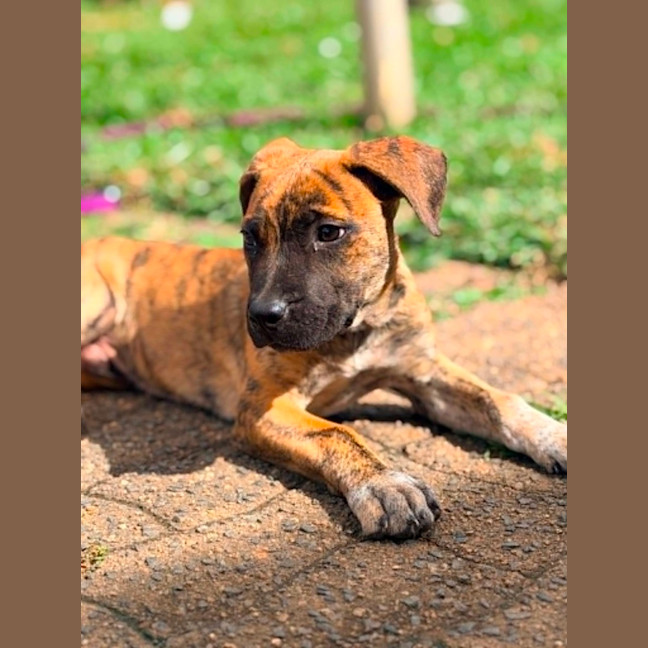 Photo of Tito