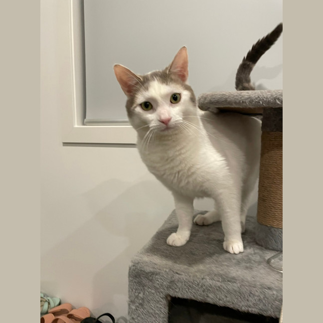 Photo of Missy & Pablo 🌷🐈