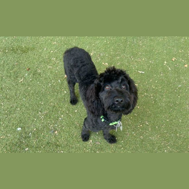 Photo of Buffy