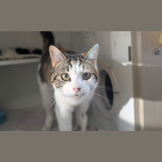 Photo of Millie