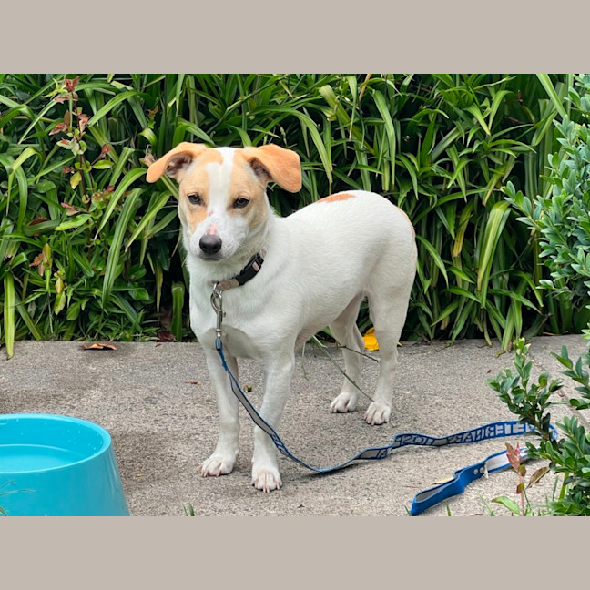 Photo of Bonnie Jrt