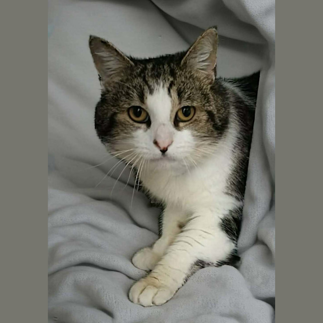 Photo of Bubs
