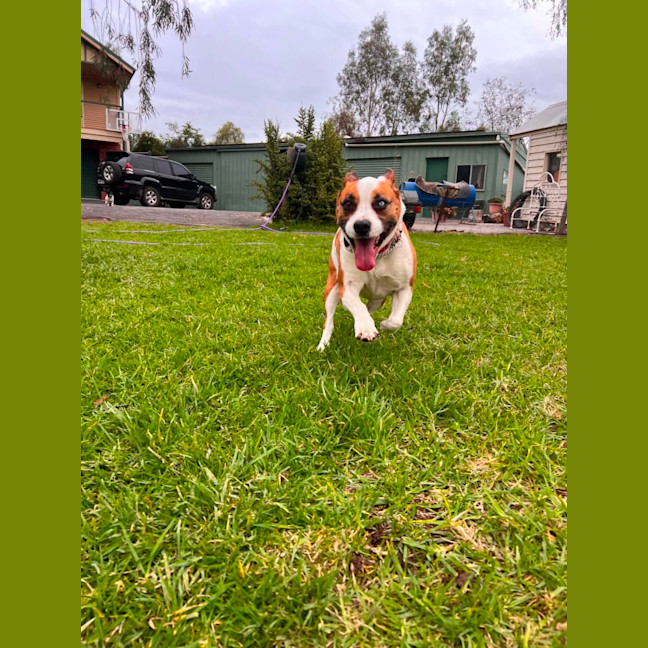 Photo of Chyna