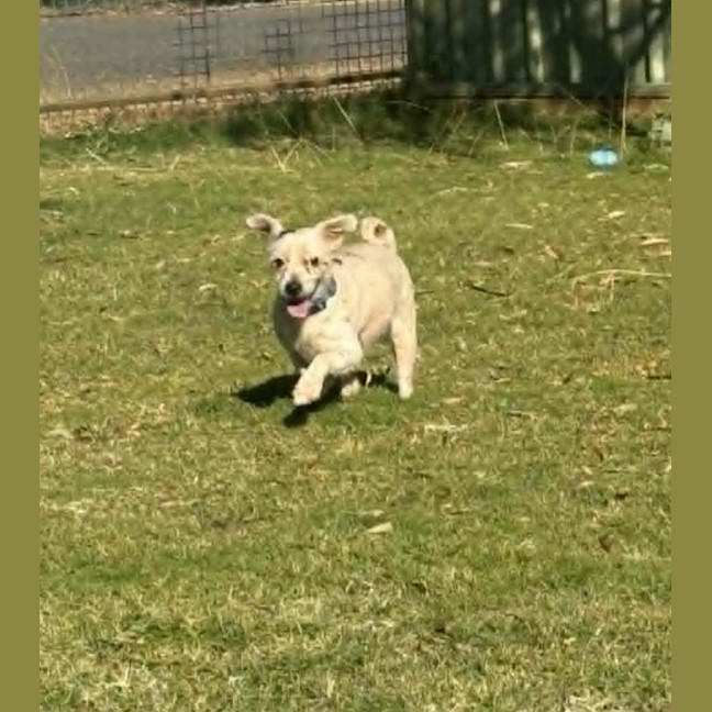 Photo of Max