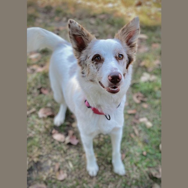 Photo of Jessie