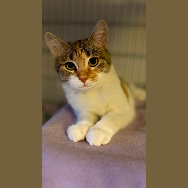 Photo of Laynee 🌺