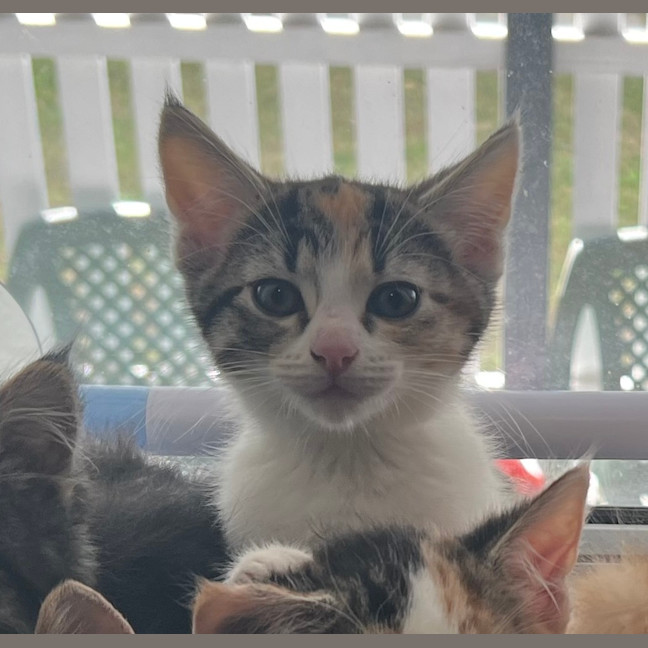 Photo of Kiki   Penelope