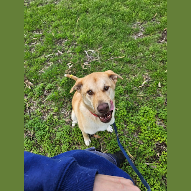 Photo of Gypsy