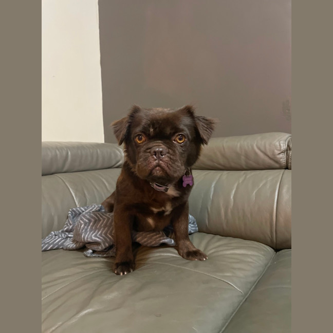Photo of Ducky