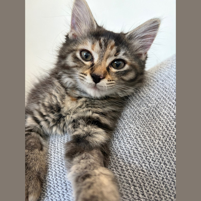 Photo of Francesca Moo